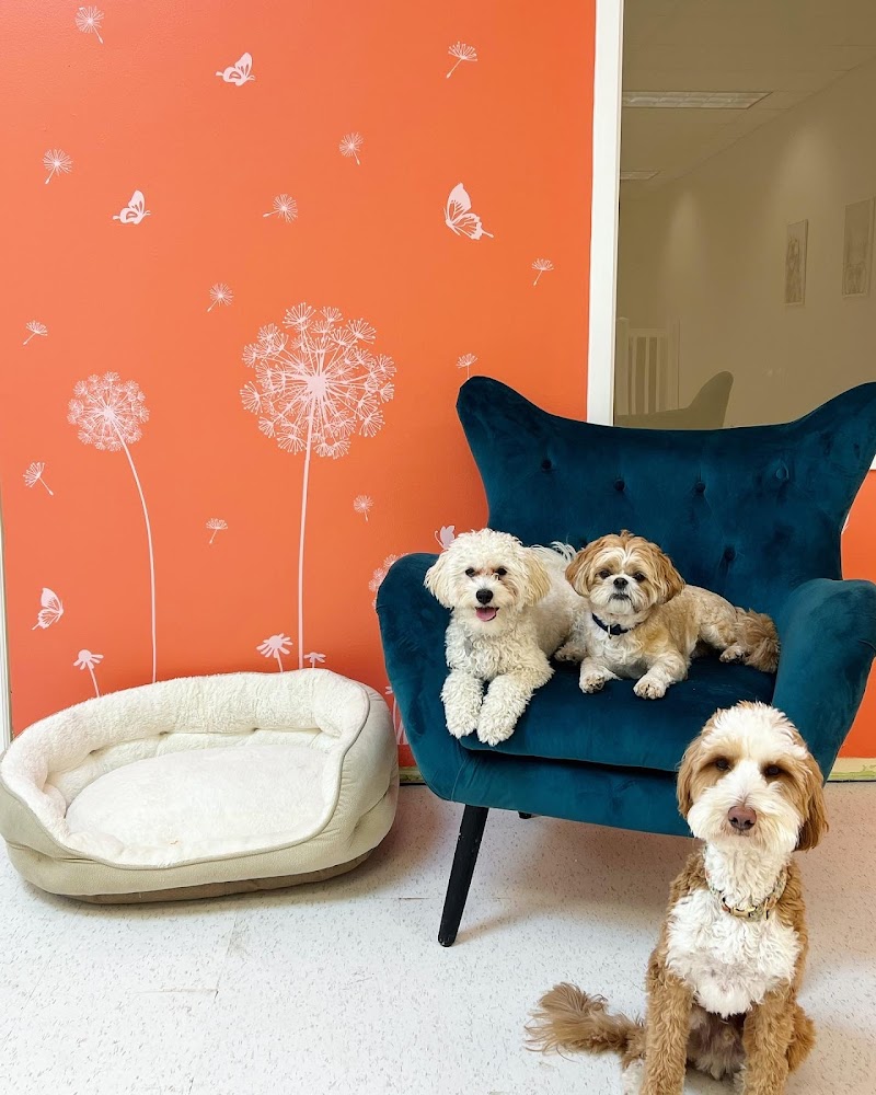 Posh Pet Club