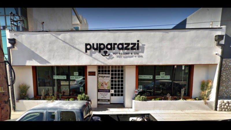 Puparazzi