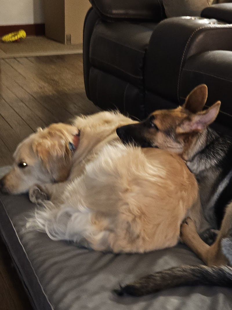 Puppourri Pet Resort