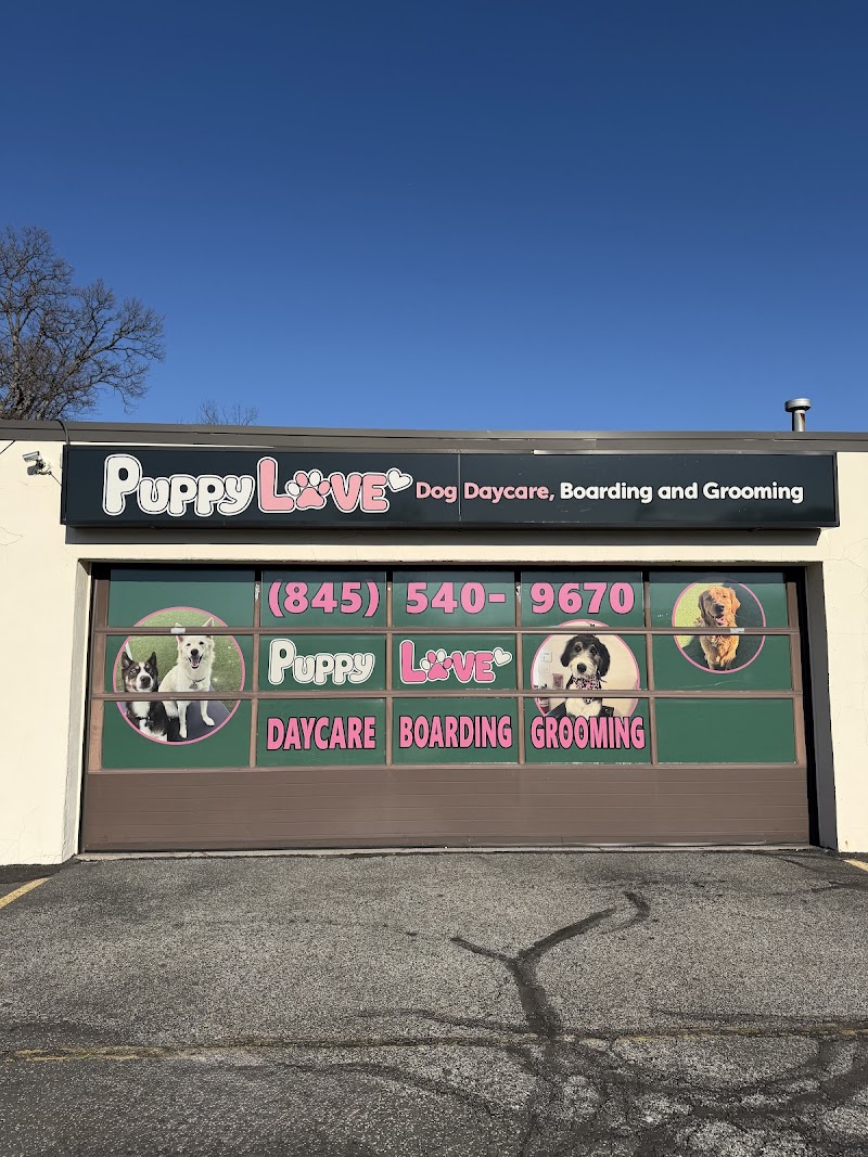 Puppy Love Dog Daycare, Boarding and Grooming