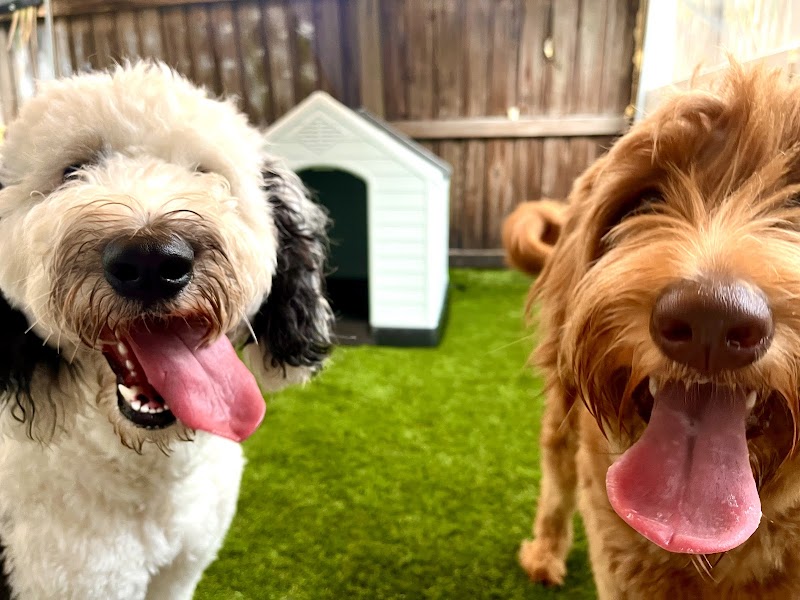PupStreet Hotel & Spa