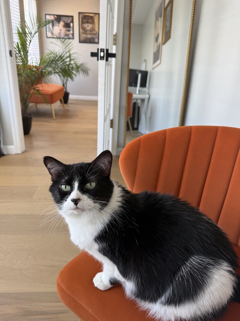 Purr Luxe Resort
