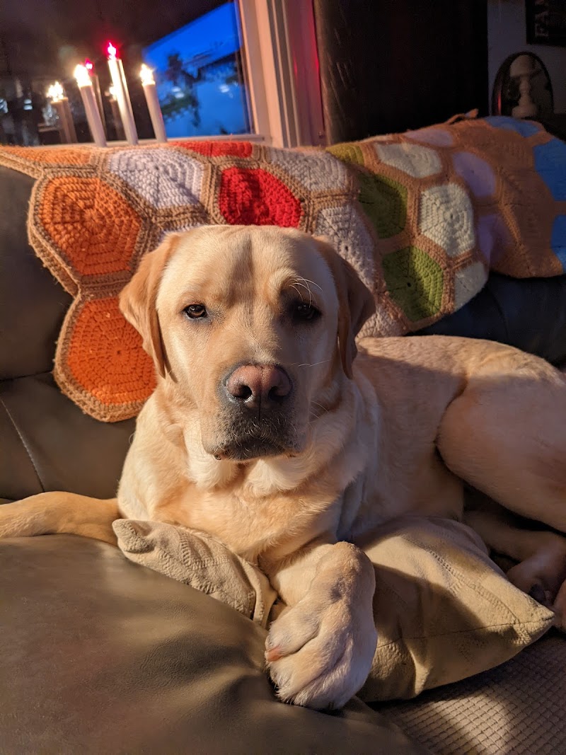 Purr’n Pooch Pet Resort
