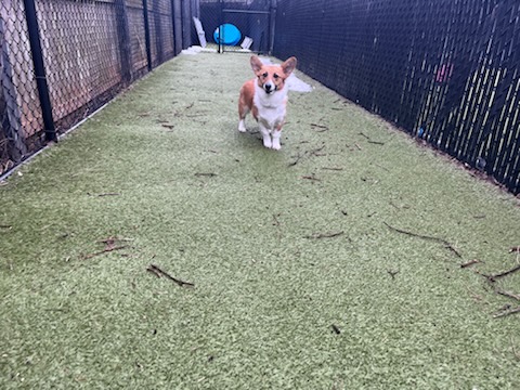 Purr'n Pooch Pet Resort