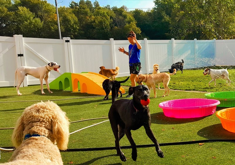 Red Barn Pet Retreat - Dog Boarding Maple Grove