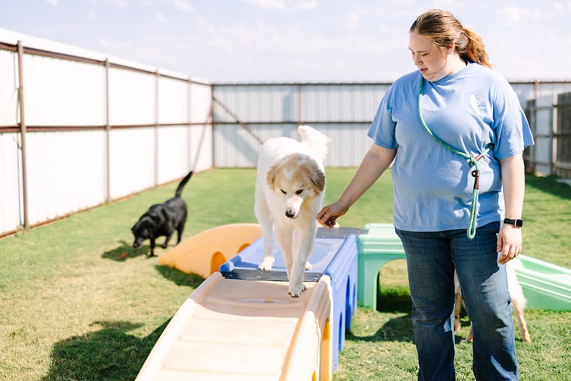 Regal Pet Resort