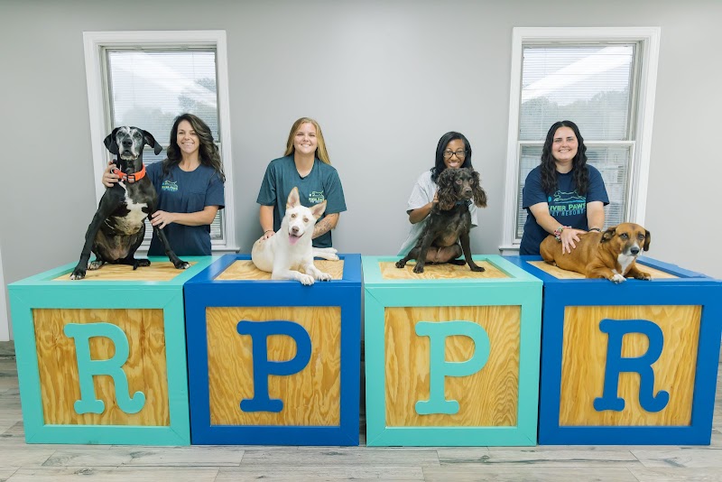 River Paws Pet Resort