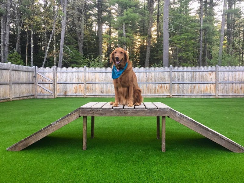 Roscoe's Bed + Bark