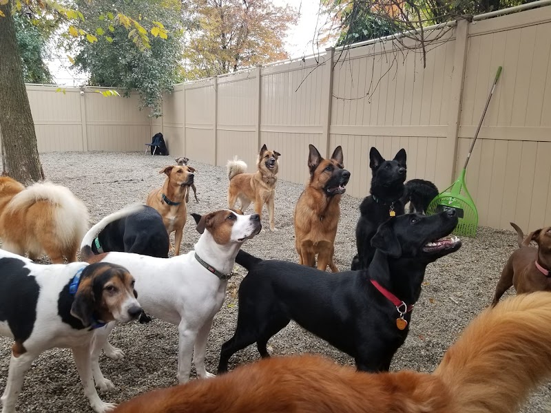 Rover Ranch & Spa