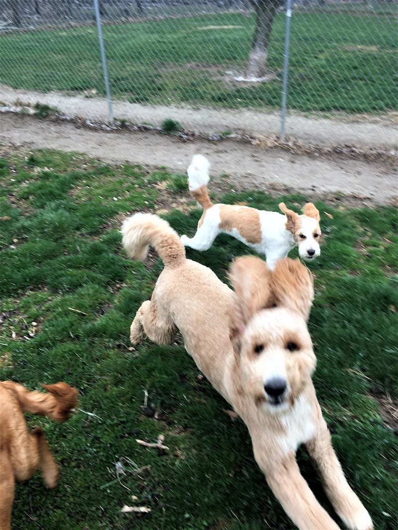 Royal Acres Pet Camp