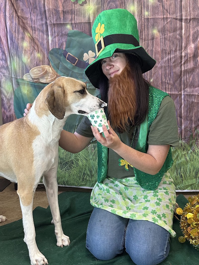 Ruff House Dog Resort