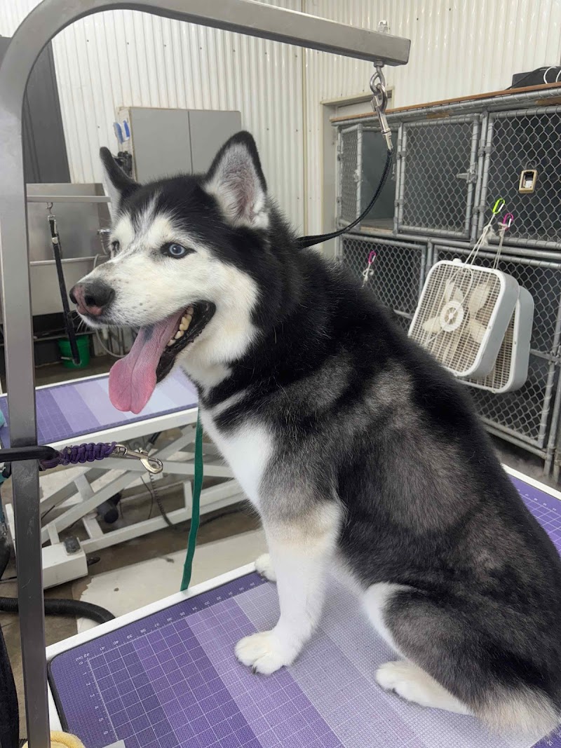 Ruff House Pet Resort