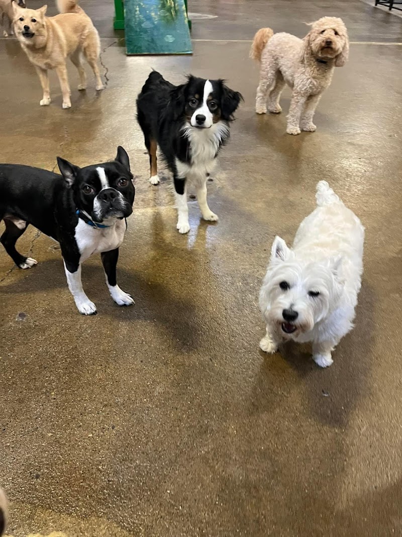 Ruffin' It Pet Resort, Inc.