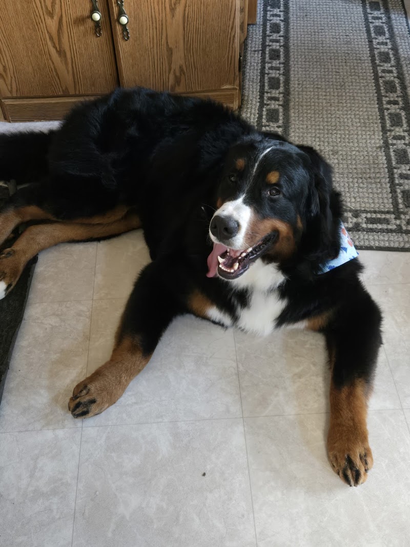 Rustic Acres Pet Lodge
