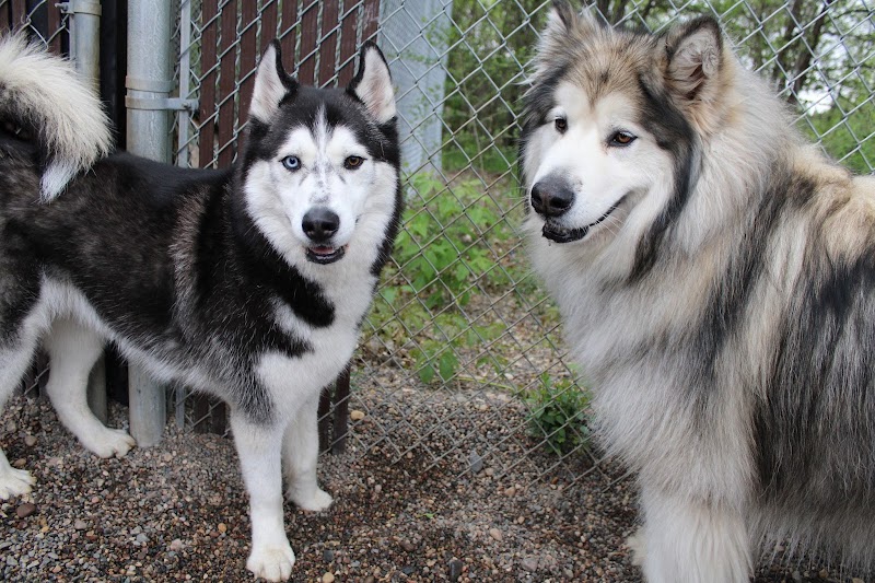 Sam & Danni's Pet Resort