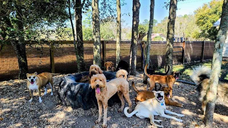 Sea Paws Dog Resort