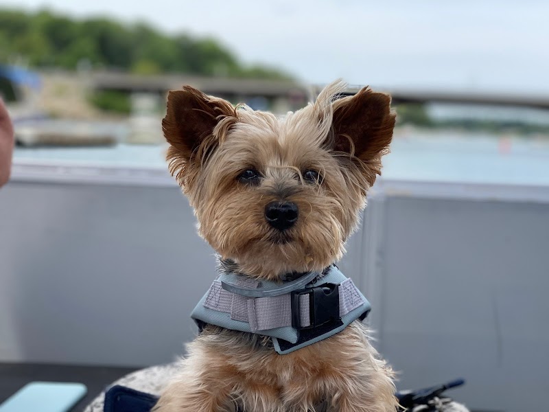 Seaside Pet Spa