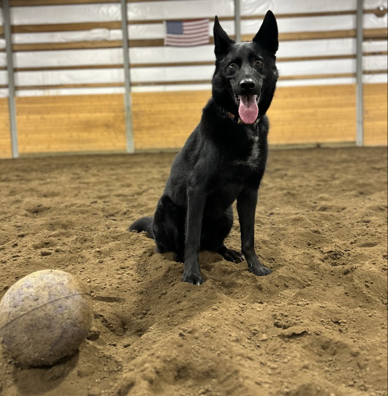 Skagit Canine Club
