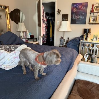 Sniffers Doggie Retreat & Training Center