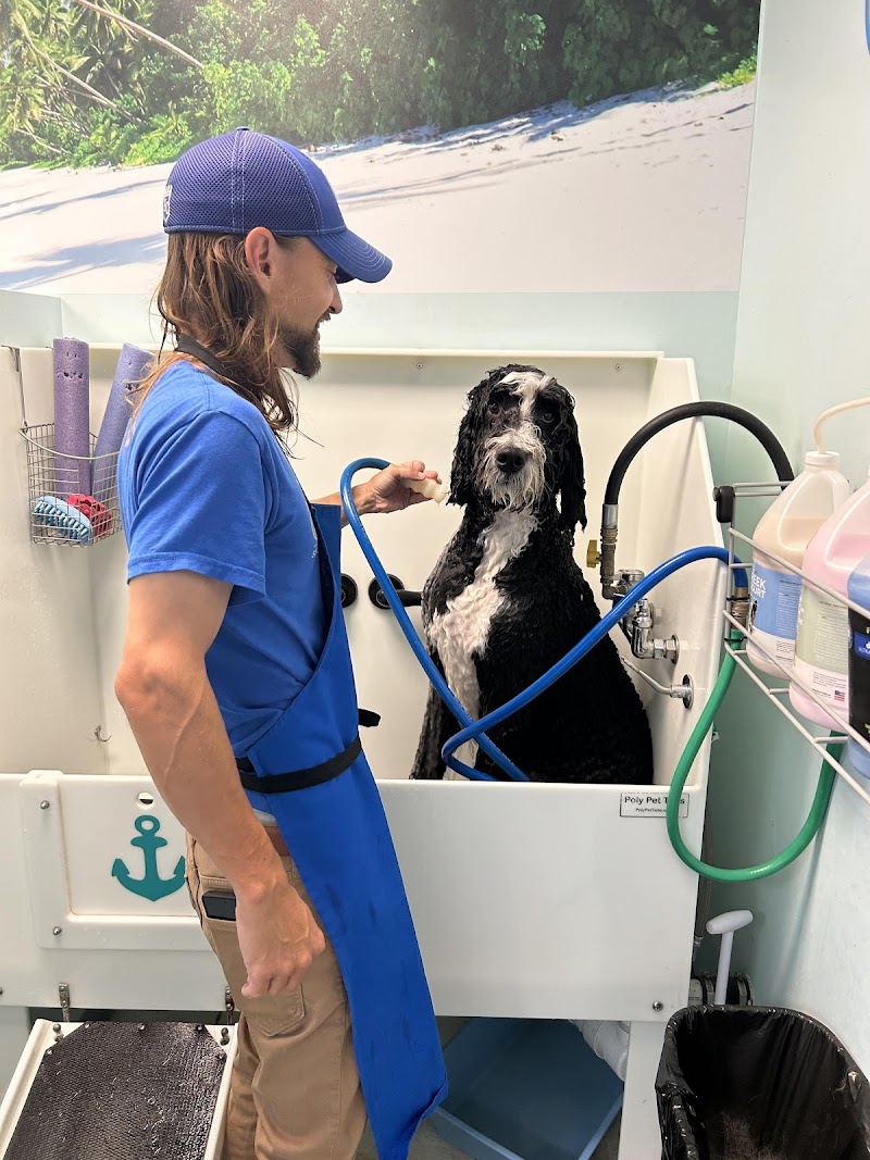 Soggy Dog Suites & Canine Cove Dog Wash