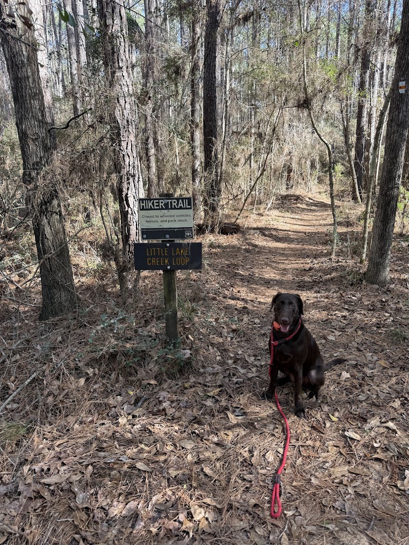 Southern Paws of Texas