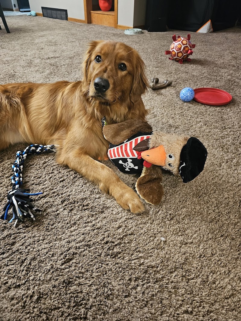 Stay & Play Pet Resort and Spa