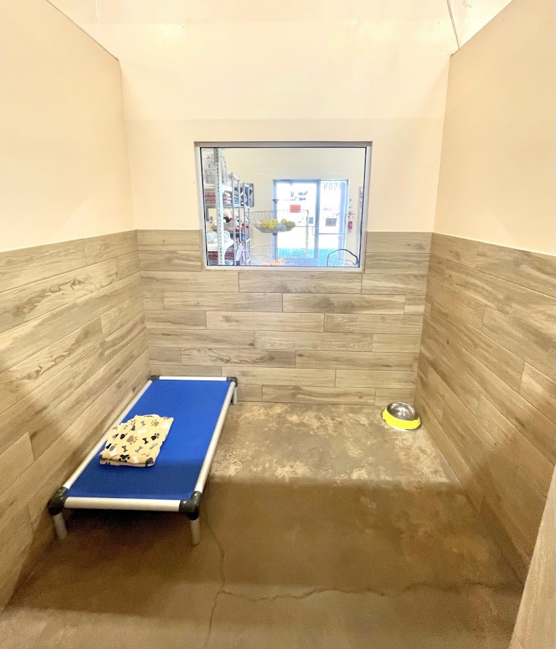 Suite Life Pet Resort & Spa
