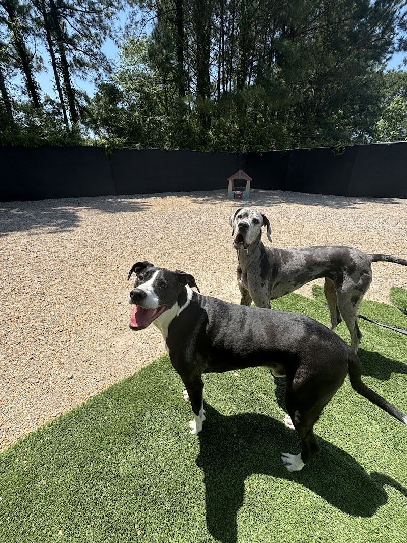 Surf City Pawville - Pet Boarding, Grooming, Daycare, Training