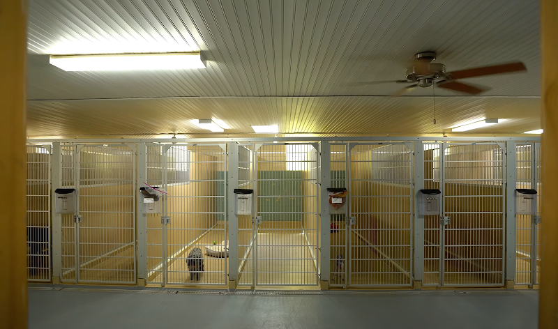 Sutton's Southern Pet Retreat - Irmo (formerly Wag-N-Train Kennel)