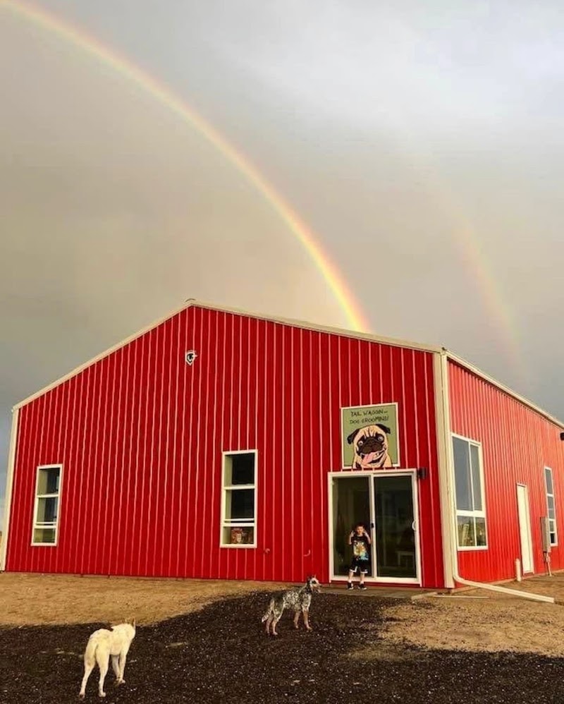 Tail Waggin LLC Dog Grooming and Boarding