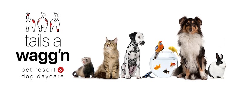 Tails A Wagg'n Pet Resort & Dog Daycare