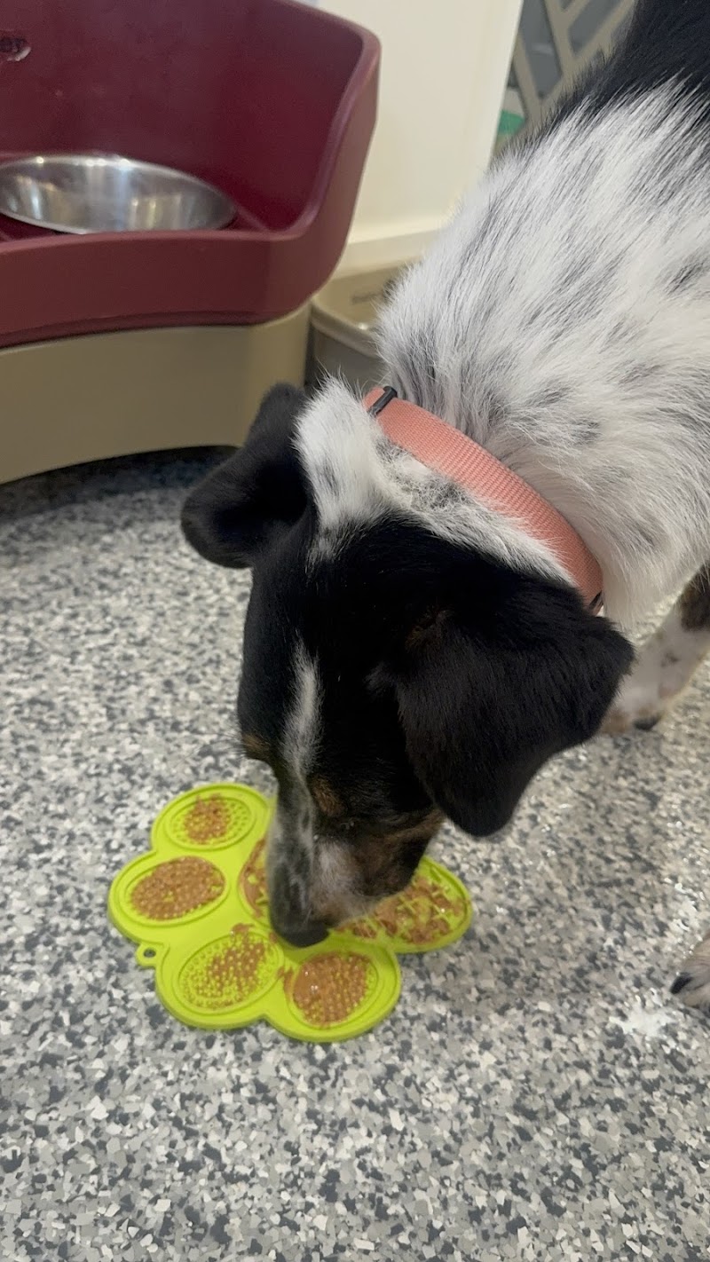 Tails On Trails Pet Resort