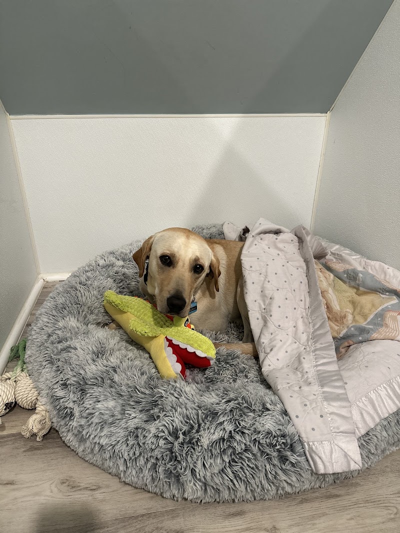 Tanner's Canine Resort