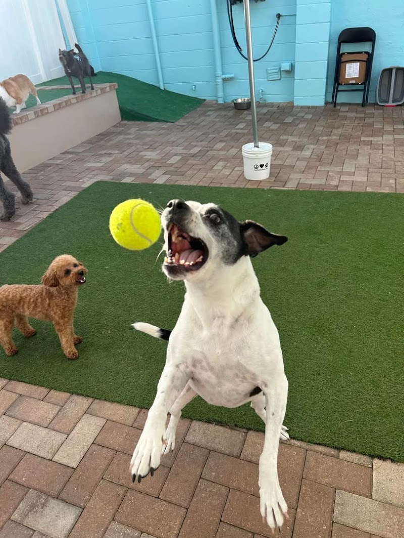 The Bark Station Resort and Spa