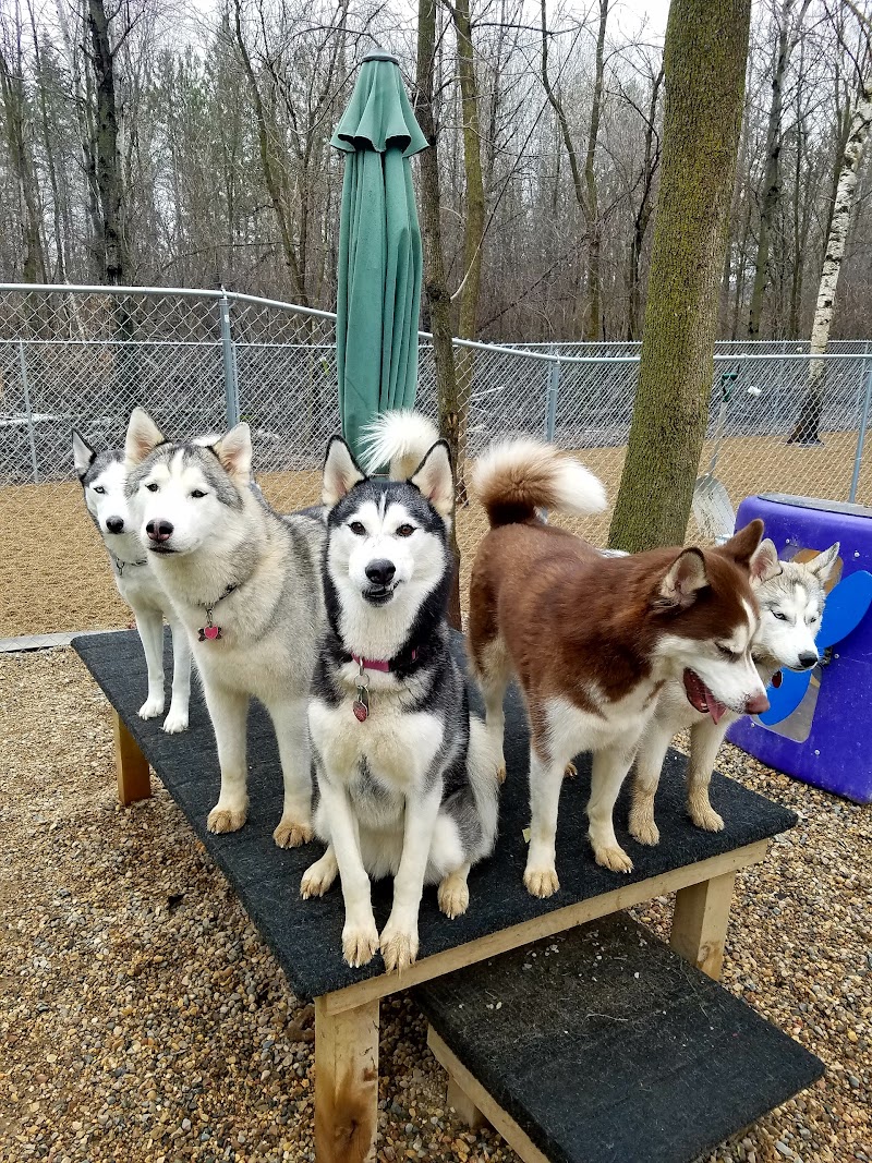 The Barking Birch Pet Lodge