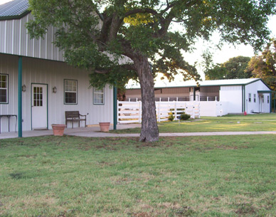 The Big Dog House