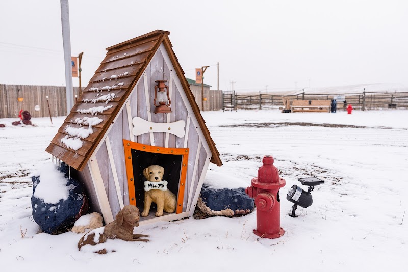 The Bradbury Boarding Camp Luxury Pet Lodge & Country Resort