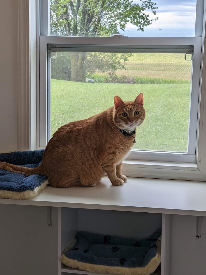 The Cats Meow Country Inn