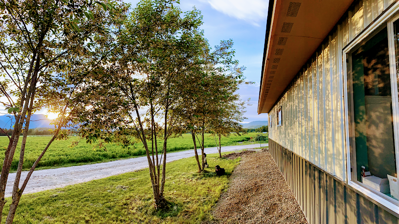 The Country Club - Stables & Boarding