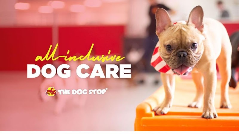 The Dog Stop - Stuart, Florida