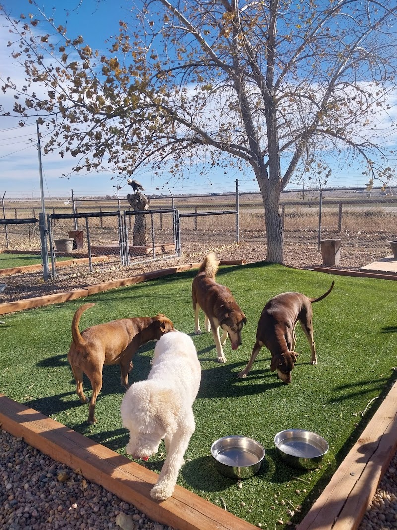 The Grateful Dog Pet Boarding