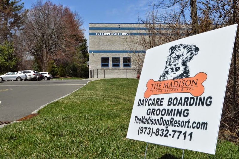 The Madison Dog Resort & Spa
