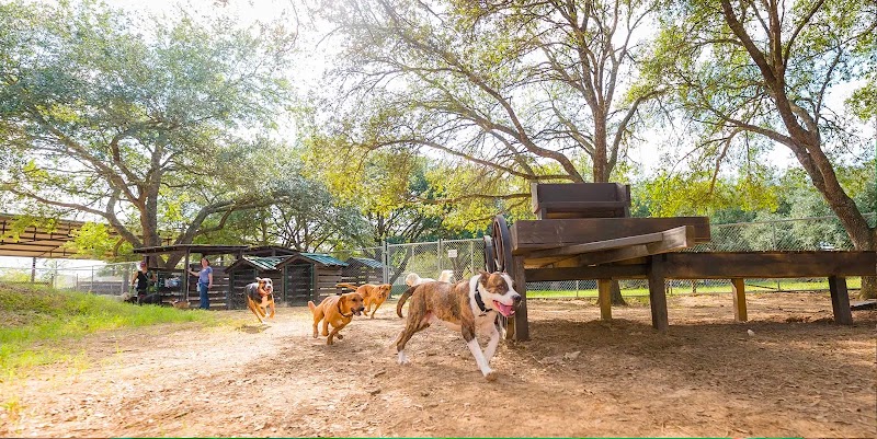 The Oaks Dog Ranch