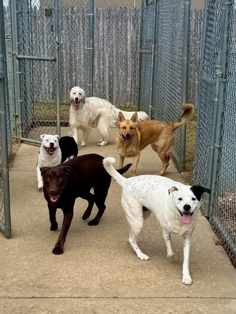 The Paw House Pet Resort