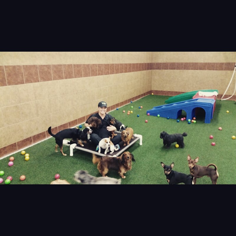 The Ultimate Pet Lodge LLC