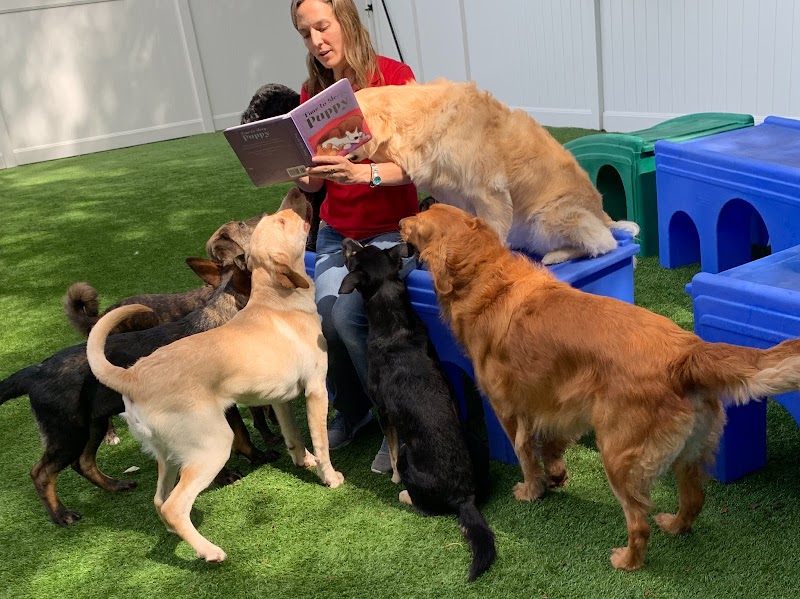 The Valley Pet Resort and Spa