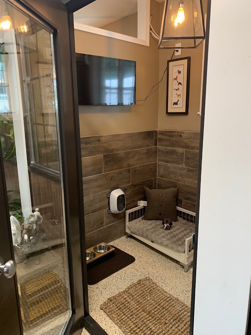 The Woodlands Luxury Pet Resort & Spa