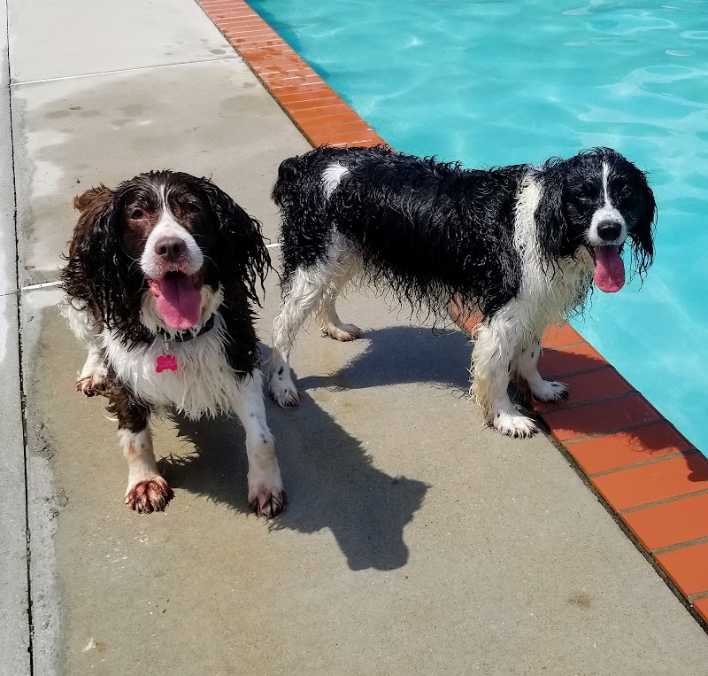 Timber Ridge Pet Resort