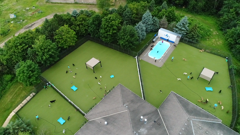 Top Dog Country Club