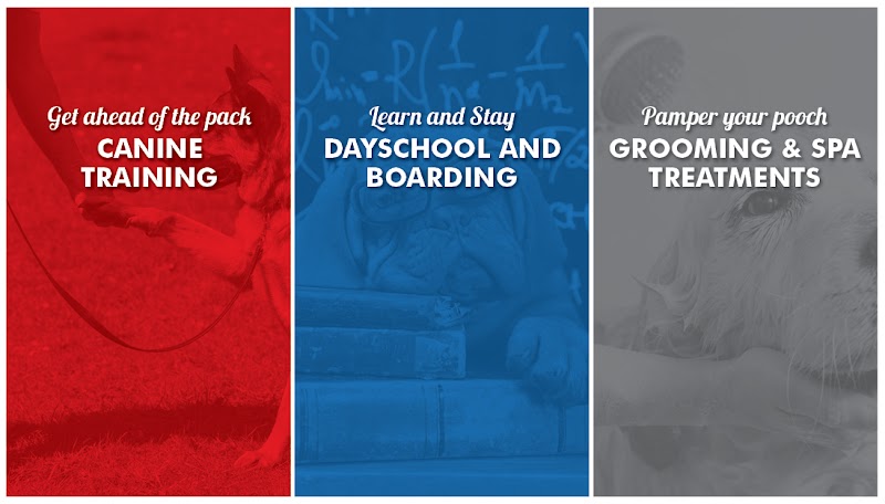 Top Dog Training and Resort